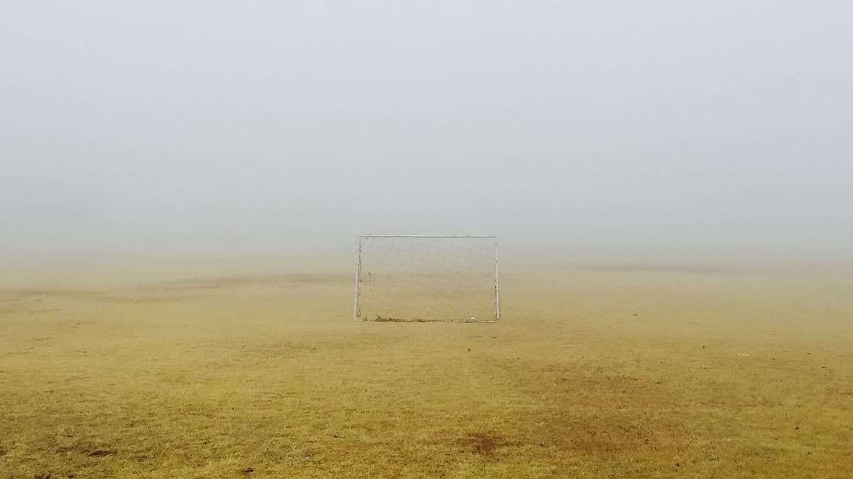 Bay Area Women's Sports This Week: Valkyries Momentum, Bay FC Community Energy, and Where to Play
