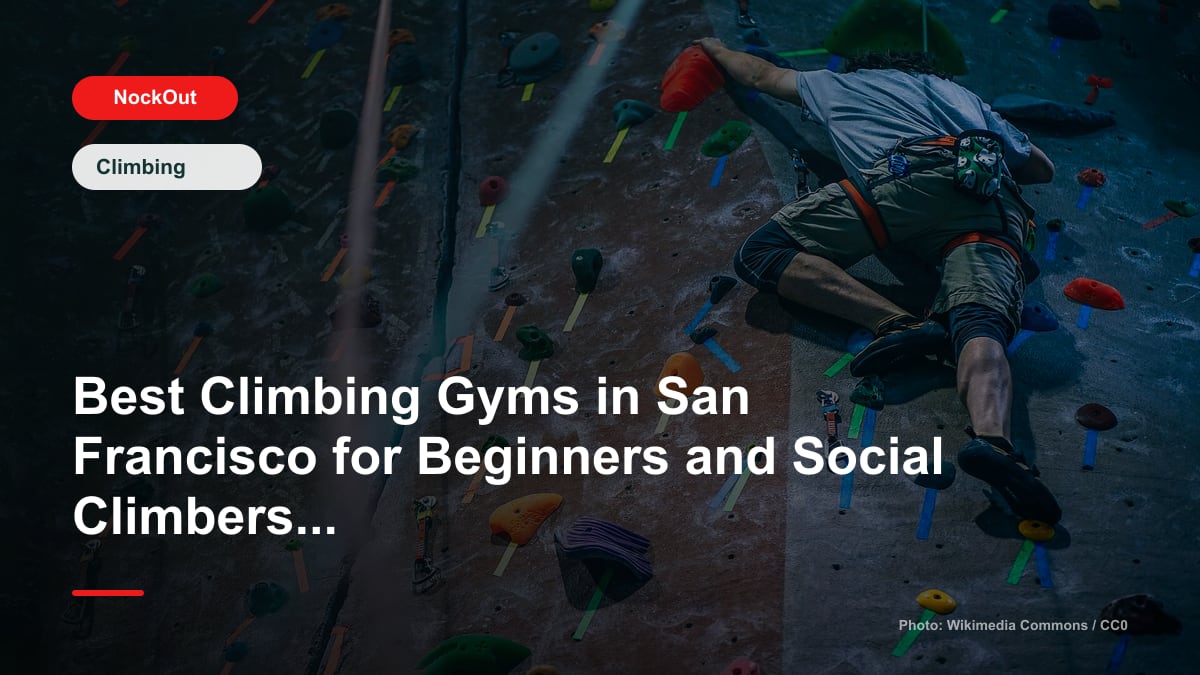 Best Climbing Gyms in San Francisco for Beginners and Social Climbers in 2026
