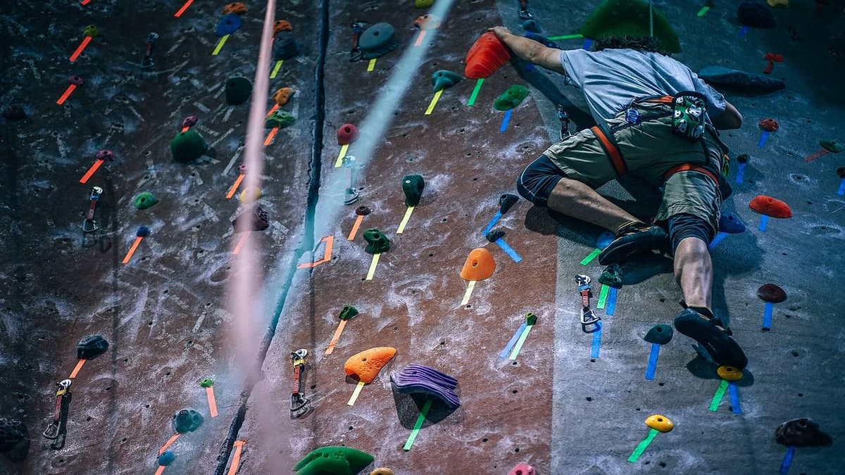 Best Climbing Gyms in San Francisco for Beginners and Social Climbers in 2026