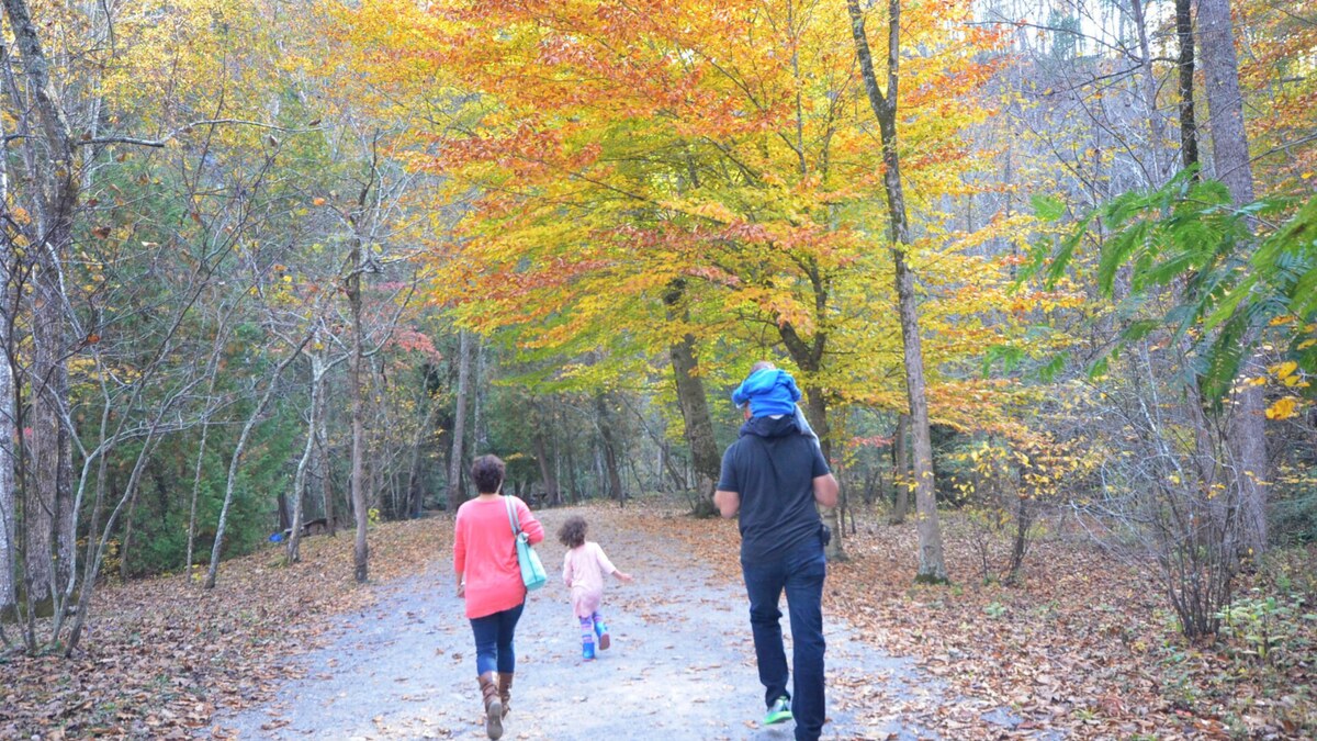 A family hiking together on a wooded public trail